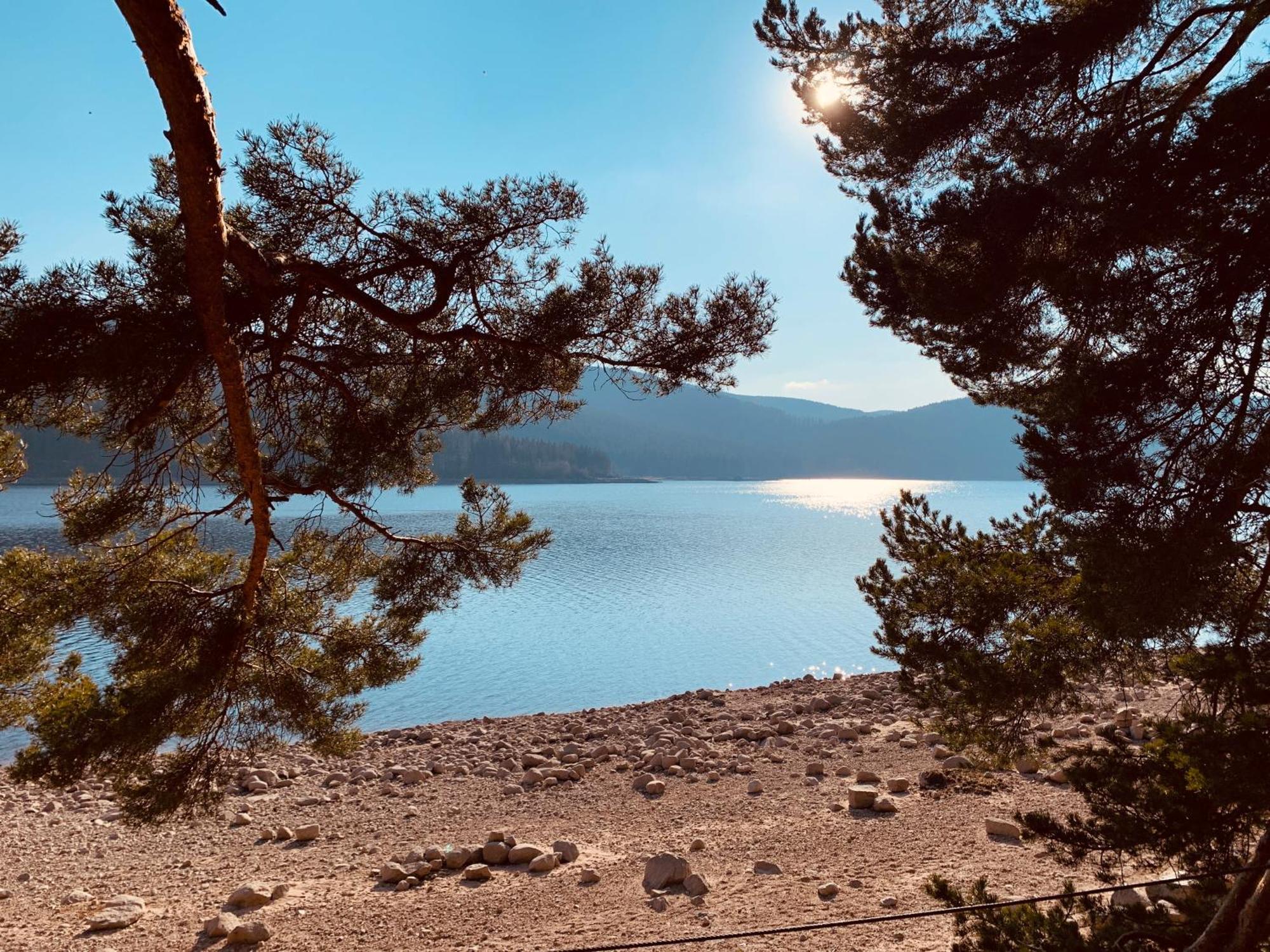 Kurhotel Schluchsee Apartment 2411 Eksteriør billede